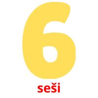 seši picture flashcards