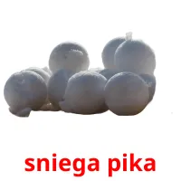 sniega pika карточки энциклопедических знаний