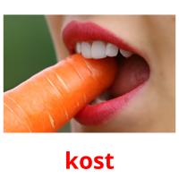 kost picture flashcards
