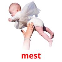mest picture flashcards