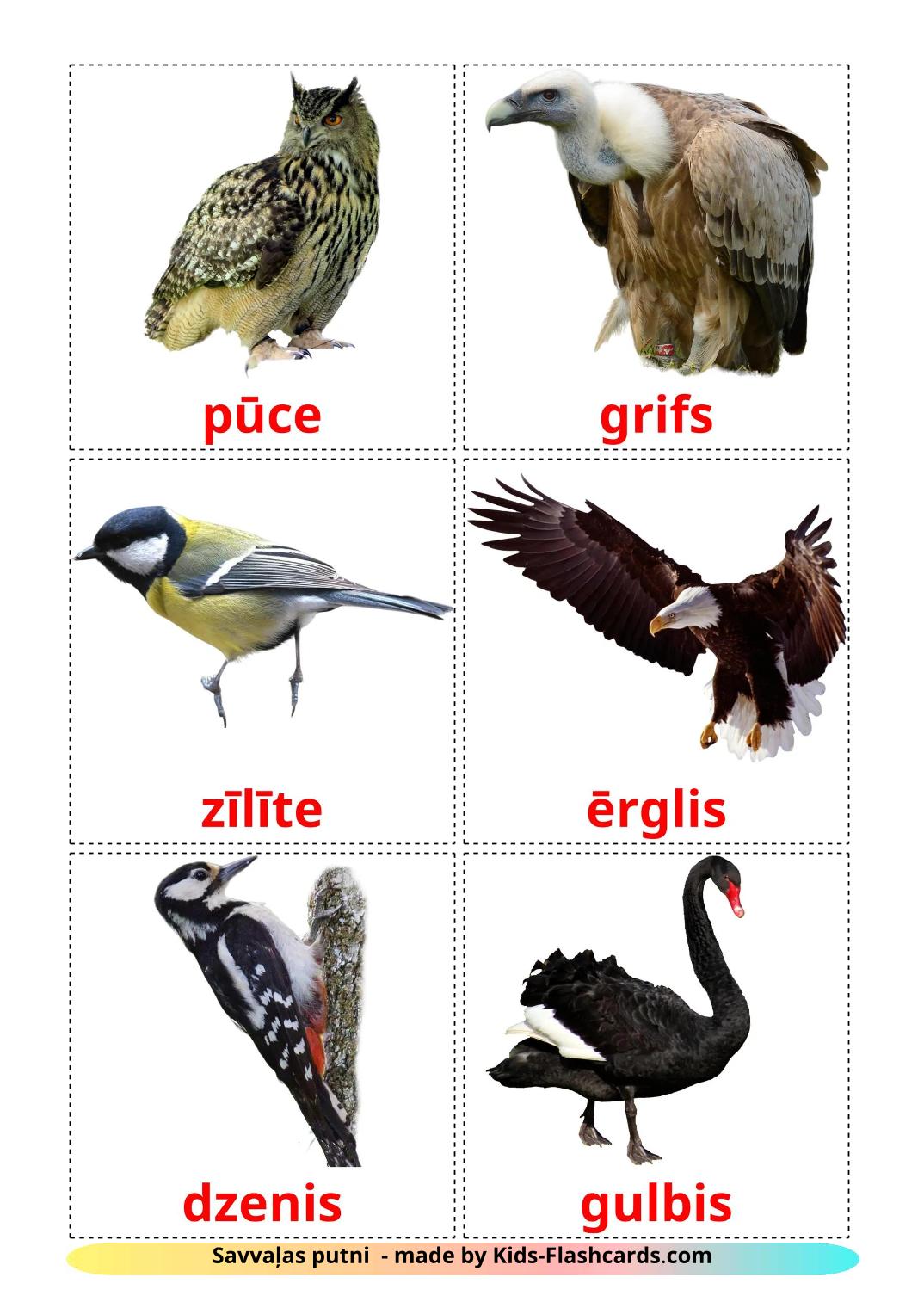 Wilde vogels - 19 gratis printbare letse kaarten