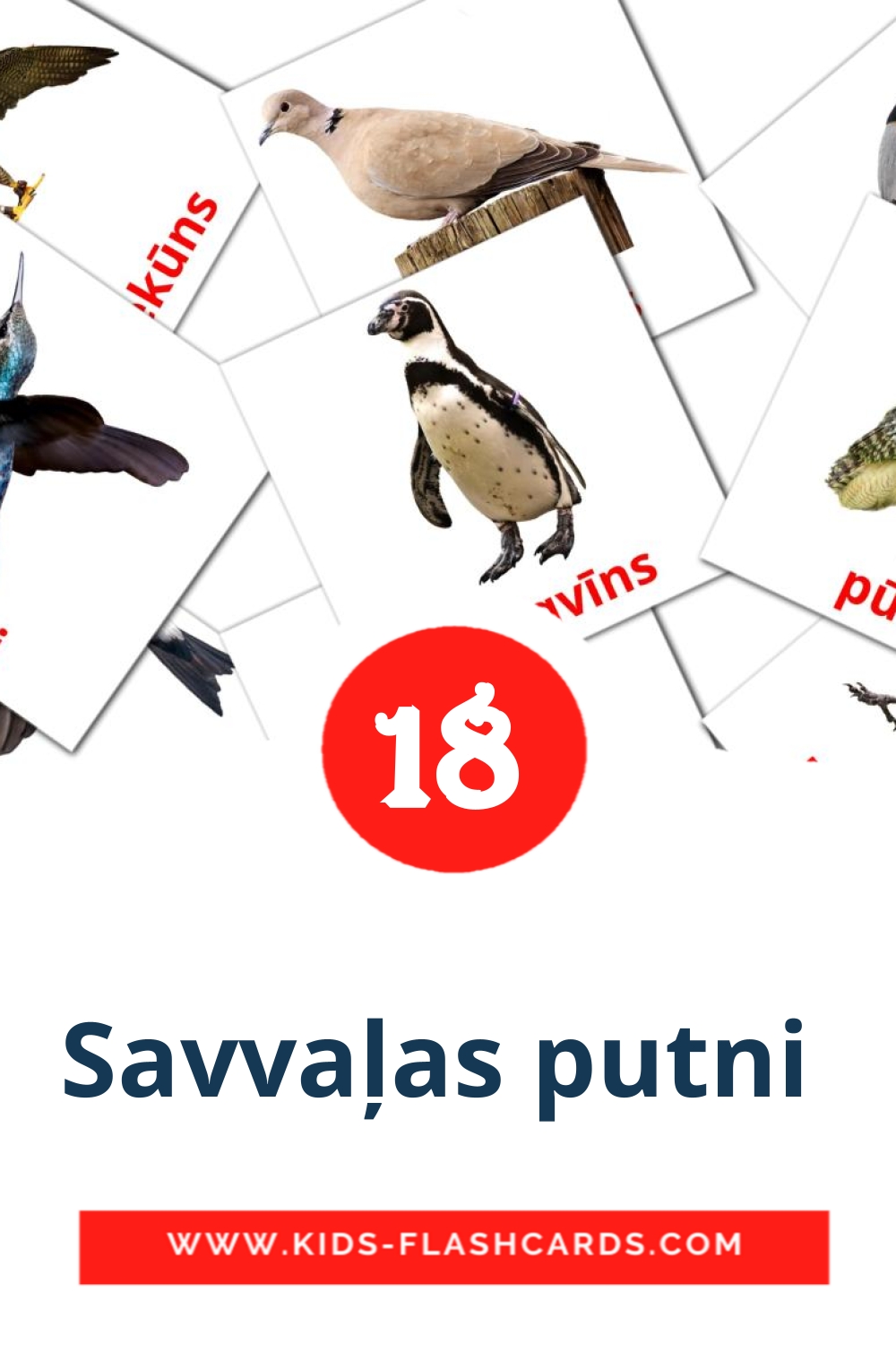 18 Savvaļas putni  Picture Cards for Kindergarden in latvian