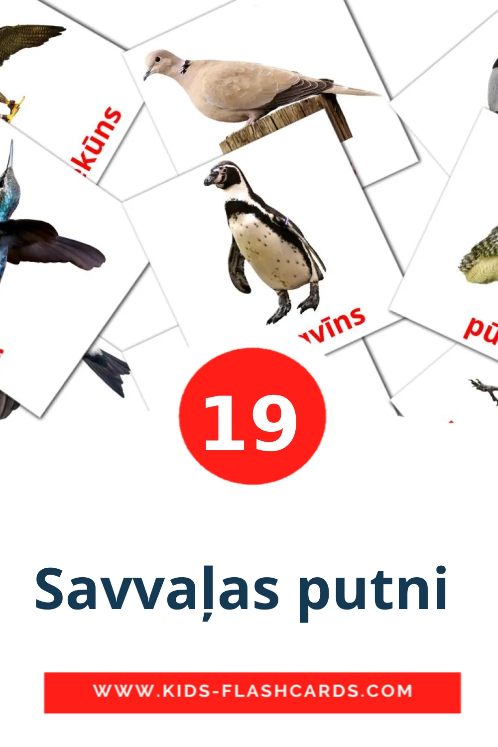 19 Savvaļas putni  fotokaarten voor kleuters in het lets