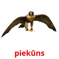 piekūns ansichtkaarten