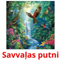 Savvaļas putni ansichtkaarten