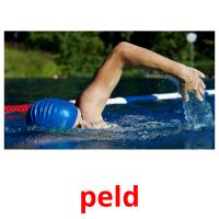 peld picture flashcards