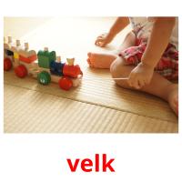 velk picture flashcards