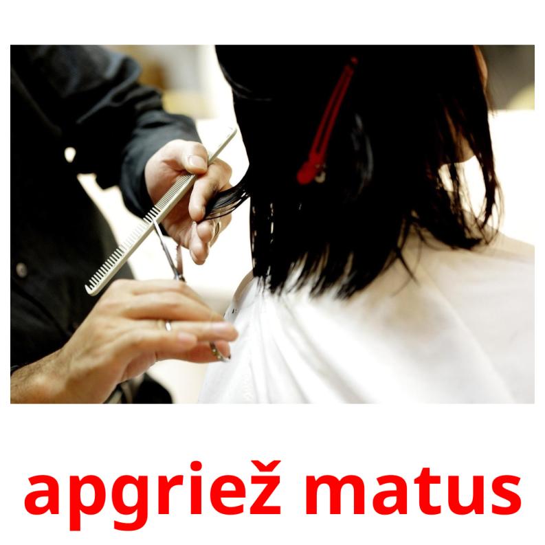 apgriež matus picture flashcards