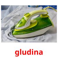 gludina flashcards illustrate