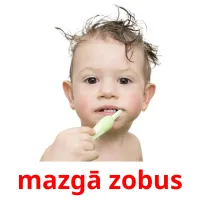 mazgā zobus карточки энциклопедических знаний