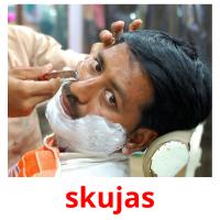 skujas picture flashcards
