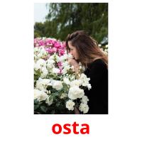 osta picture flashcards