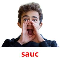 sauc picture flashcards