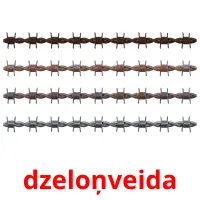 dzeloņveida Bildkarteikarten