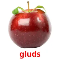 gluds Bildkarteikarten