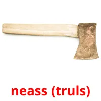 neass (truls) Bildkarteikarten