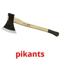 pikants Bildkarteikarten