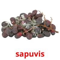 sapuvis card for translate