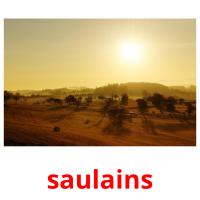saulains card for translate