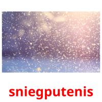 sniegputenis card for translate