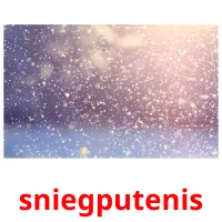 sniegputenis ansichtkaarten