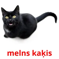 melns kaķis карточки энциклопедических знаний