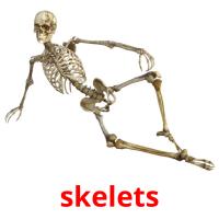skelets ansichtkaarten