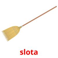 slota picture flashcards