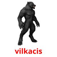 vilkacis picture flashcards