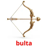 bulta Tarjetas didacticas