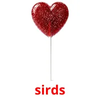 sirds Tarjetas didacticas