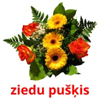 ziedu pušķis карточки энциклопедических знаний