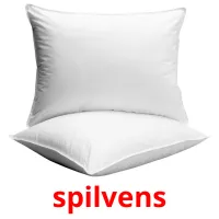 spilvens ansichtkaarten