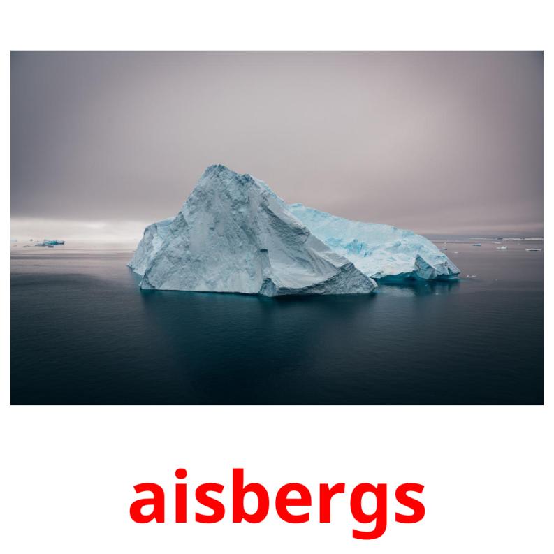 aisbergs picture flashcards