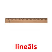lineāls picture flashcards