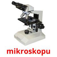 mikroskopu Bildkarteikarten