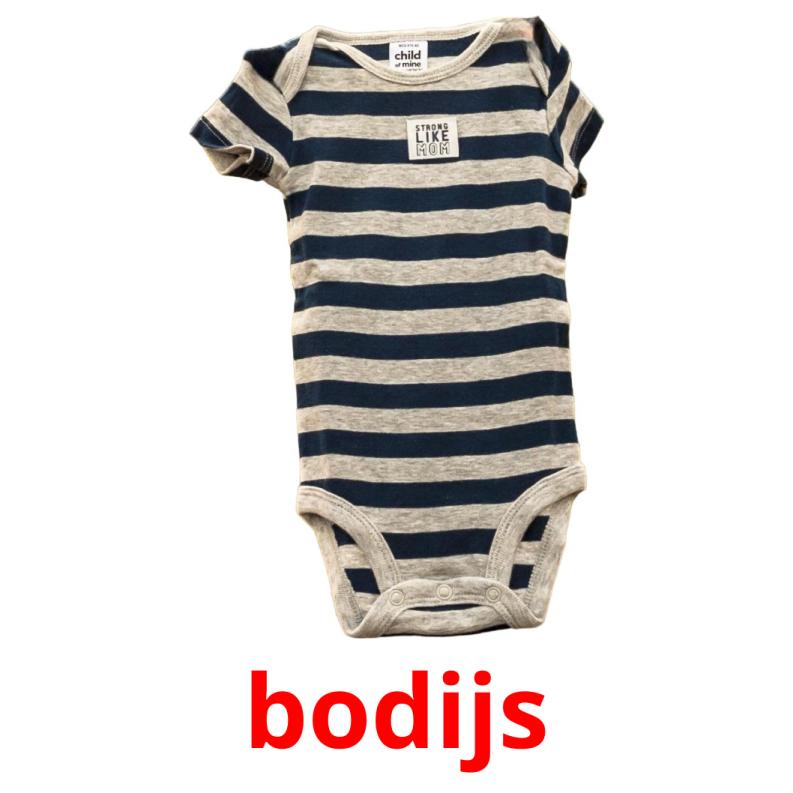 bodijs picture flashcards