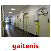 gaitenis Bildkarteikarten