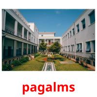 pagalms picture flashcards