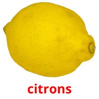 citrons picture flashcards