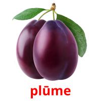 plūme card for translate