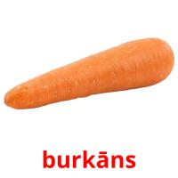 burkāns picture flashcards