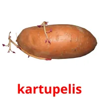 kartupelis ansichtkaarten