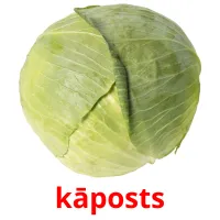 kāposts ansichtkaarten