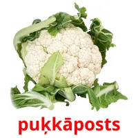 puķkāposts ansichtkaarten