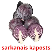 sarkanais kāposts ansichtkaarten