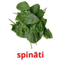 spināti picture flashcards
