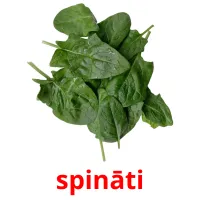 spināti ansichtkaarten