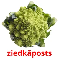 ziedkāposts ansichtkaarten