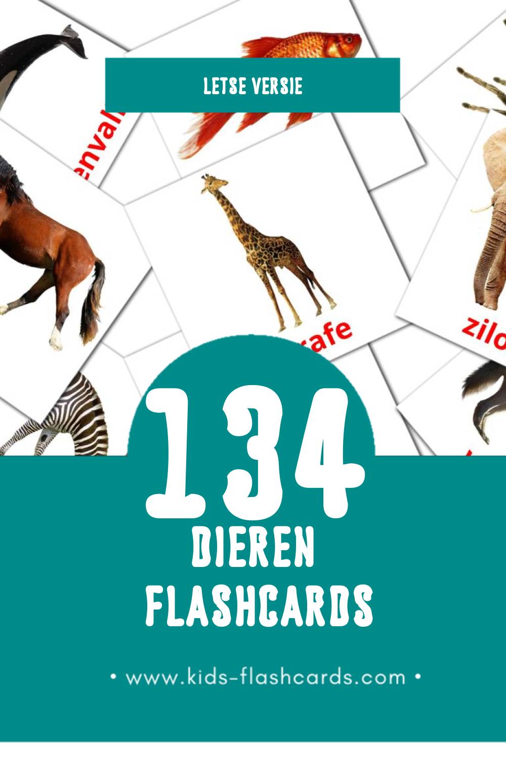 Visuele Dzīvnieki Flashcards voor Kleuters (134 kaarten in het Lets)